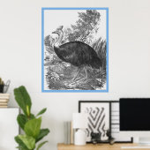 John Goulds 'Birds Of Australia' ~ The Cassowary Poster (Heimbüro)