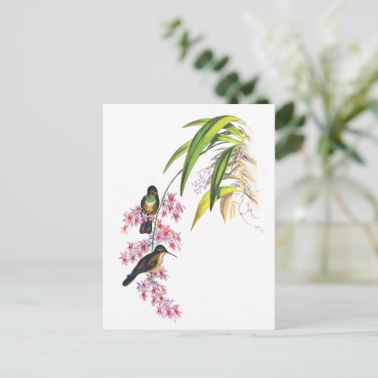 John Gould's Pink Orchids and Hummingbirds Postkarte (Stehend Vorderseite)