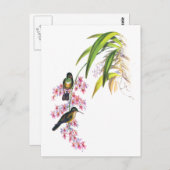 John Gould's Pink Orchids and Hummingbirds Postkarte (Vorne/Hinten)