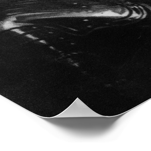 John Hampden Poster (Ecke)