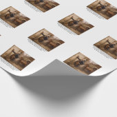 John Hancock Tagger Geschenkpapier (Ecke)