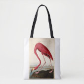 John James Audubon, American Flamingo, Tasche (Vorderseite)