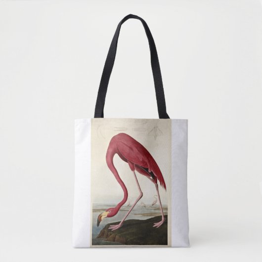 John James Audubon, American Flamingo, Tasche (Vorderseite)
