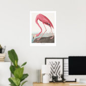 John James Audubon American Flamingo Wildlife Art Poster (Heimbüro)
