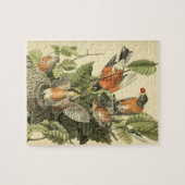 John James Audubon American Robin Painting Gift Puzzle (Horizontal)