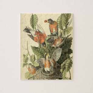 John James Audubon American Robin Painting Gift Puzzle