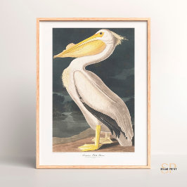 John James Audubon American White Pelican Majesty Poster