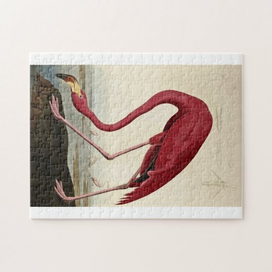 John James Audubon - Amerikanischer Flamingo Puzzle (Horizontal)