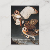 John James Audubon Barn Owls Business Card Visitenkarte (Vorderseite)