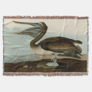 John James Audubon Brauner Pelikan Kunstwerk Maler Decke