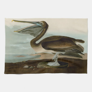 John James Audubon Brauner Pelikan Kunstwerk Maler Geschirrtuch