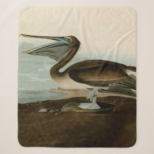 John James Audubon Brauner Pelikan Kunstwerk Maler Sherpadecke