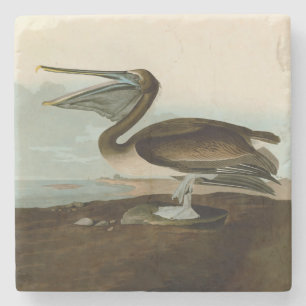 John James Audubon Brauner Pelikan Kunstwerk Maler Steinuntersetzer