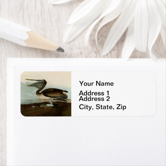 John James Audubon Brown Pelican Artwork Painting (Insitu)