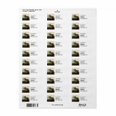 John James Audubon Brown Pelican Artwork Painting (Vorne)