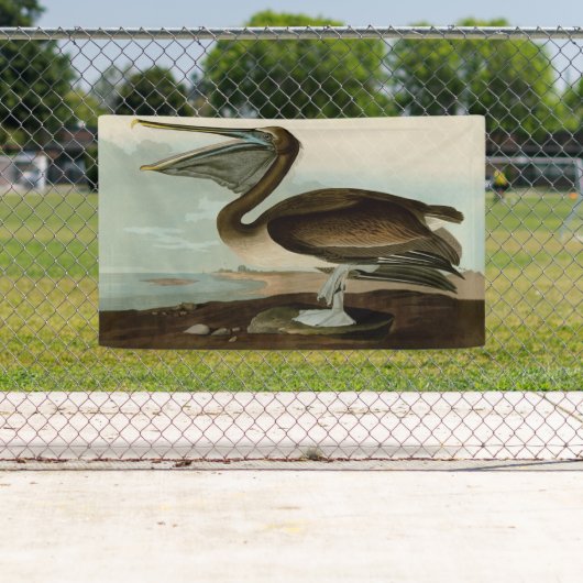 John James Audubon Brown Pelican Artwork Painting Banner (Insitu)