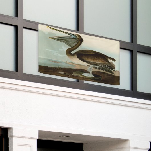 John James Audubon Brown Pelican Artwork Painting Banner (Äußeres Gebäude)