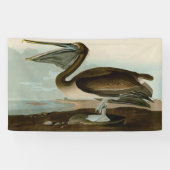 John James Audubon Brown Pelican Artwork Painting Banner (Horizontal)