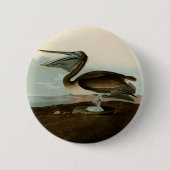 John James Audubon Brown Pelican Artwork Painting Button (Vorderseite)