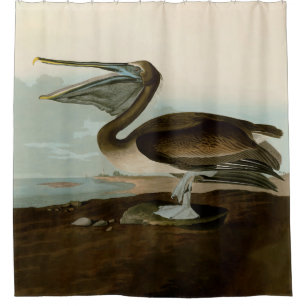 John James Audubon Brown Pelican Artwork Painting Duschvorhang
