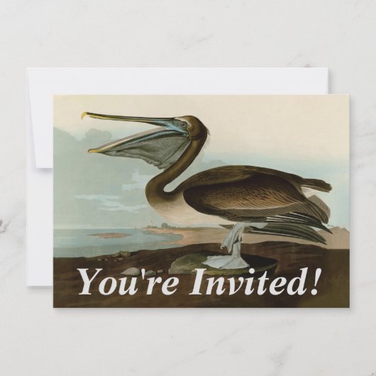 John James Audubon Brown Pelican Artwork Painting Einladung (Vorderseite)