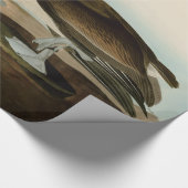 John James Audubon Brown Pelican Artwork Painting Geschenkpapier (Ecke)