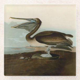 John James Audubon Brown Pelican Artwork Painting Glasuntersetzer
