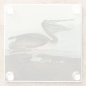 John James Audubon Brown Pelican Artwork Painting Glasuntersetzer (Rückseite)