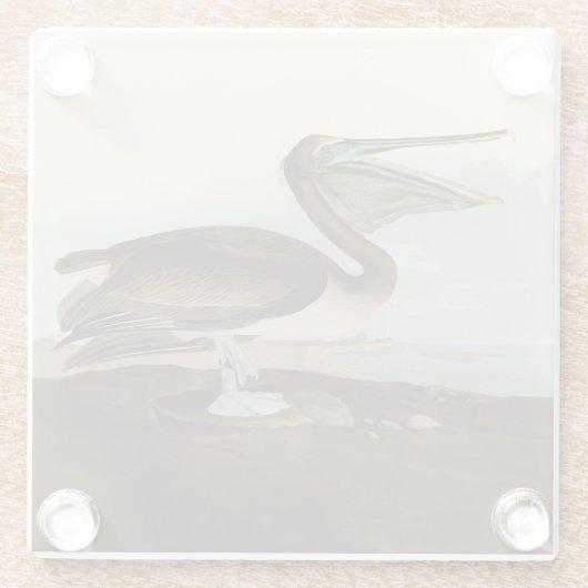John James Audubon Brown Pelican Artwork Painting Glasuntersetzer (Rückseite)