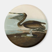 John James Audubon Brown Pelican Artwork Painting Magnet (Vorne)