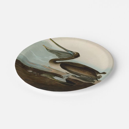 John James Audubon Brown Pelican Artwork Painting Pappteller (Schrägansicht)