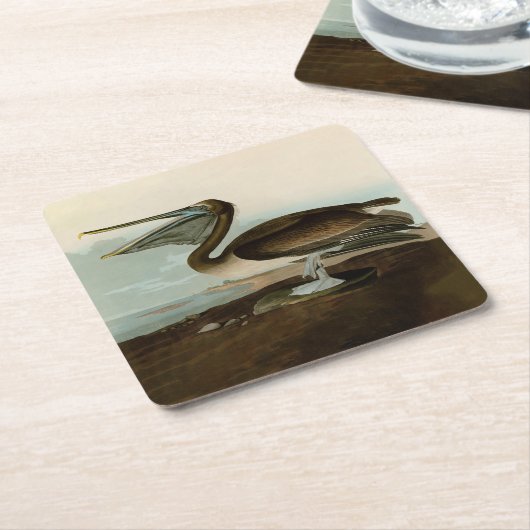 John James Audubon Brown Pelican Artwork Painting Rechteckiger Pappuntersetzer (angewinkelt)