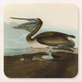 John James Audubon Brown Pelican Artwork Painting Rechteckiger Pappuntersetzer (Vorderseite)