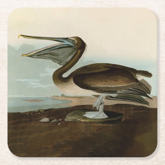 John James Audubon Brown Pelican Artwork Painting Rechteckiger Pappuntersetzer (Vorderseite)