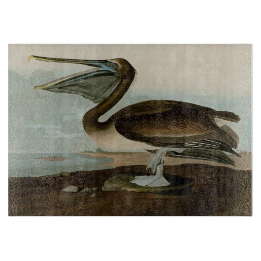 John James Audubon Brown Pelican Artwork Painting Schneidebrett (Vorderseite)