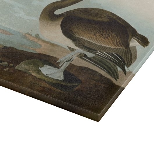 John James Audubon Brown Pelican Artwork Painting Schneidebrett (Ecke)