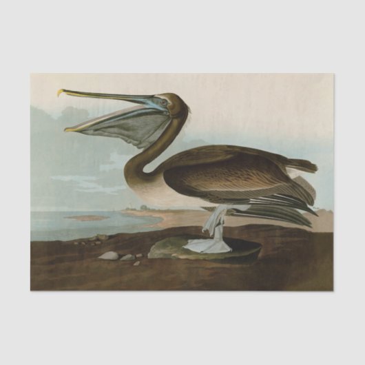 John James Audubon Brown Pelican Artwork Painting Seidenpapier (Vorderseite)