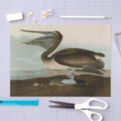 John James Audubon Brown Pelican Artwork Painting Seidenpapier (Handwerk)
