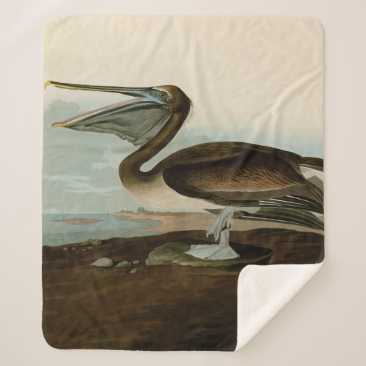 John James Audubon Brown Pelican Artwork Painting Sherpadecke (Vorderseite)