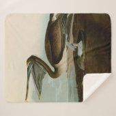 John James Audubon Brown Pelican Artwork Painting Sherpadecke (Vorderseite (Horizontal))