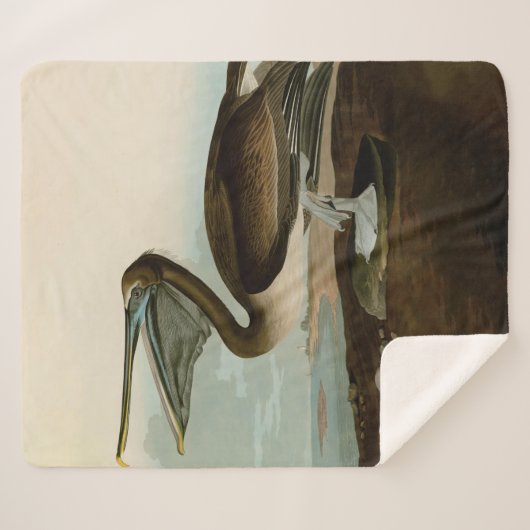 John James Audubon Brown Pelican Artwork Painting Sherpadecke (Vorderseite (Horizontal))
