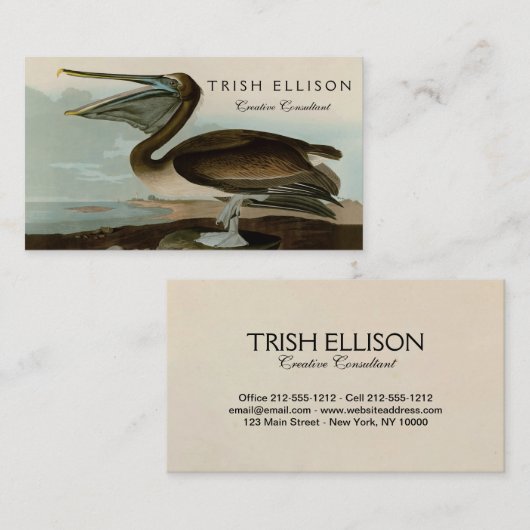 John James Audubon Brown Pelican Artwork Painting Visitenkarte (Vorne/Hinten)