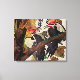 John James Audubon Buntspecht-Vogel-Druck Leinwanddruck