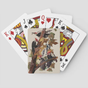 John James Audubon Buntspecht Vogel Druck Spielkarten