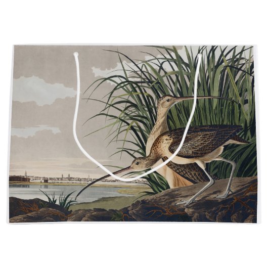 John James Audubon Long Billed Curlew Bird Große Geschenktüte (Vorderseite)