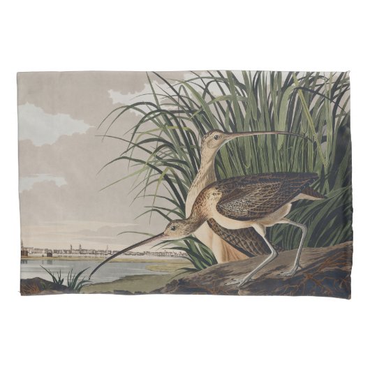 John James Audubon Long-Billed Curlew Bird Kissenbezug (Vorderseite)