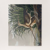John James Audubon Long Billed Curlew Bird Puzzle (Vertikal)