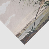 John James Audubon Long Billed Curlew Bird Seidenpapier (Ausschnitt)