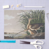 John James Audubon Long Billed Curlew Bird Seidenpapier (Handwerk)