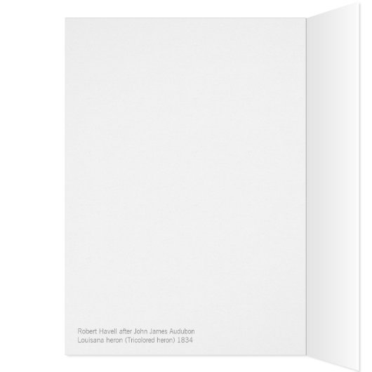 John James Audubon Lousiana Heron CC0750 Bird (Innen (Links))